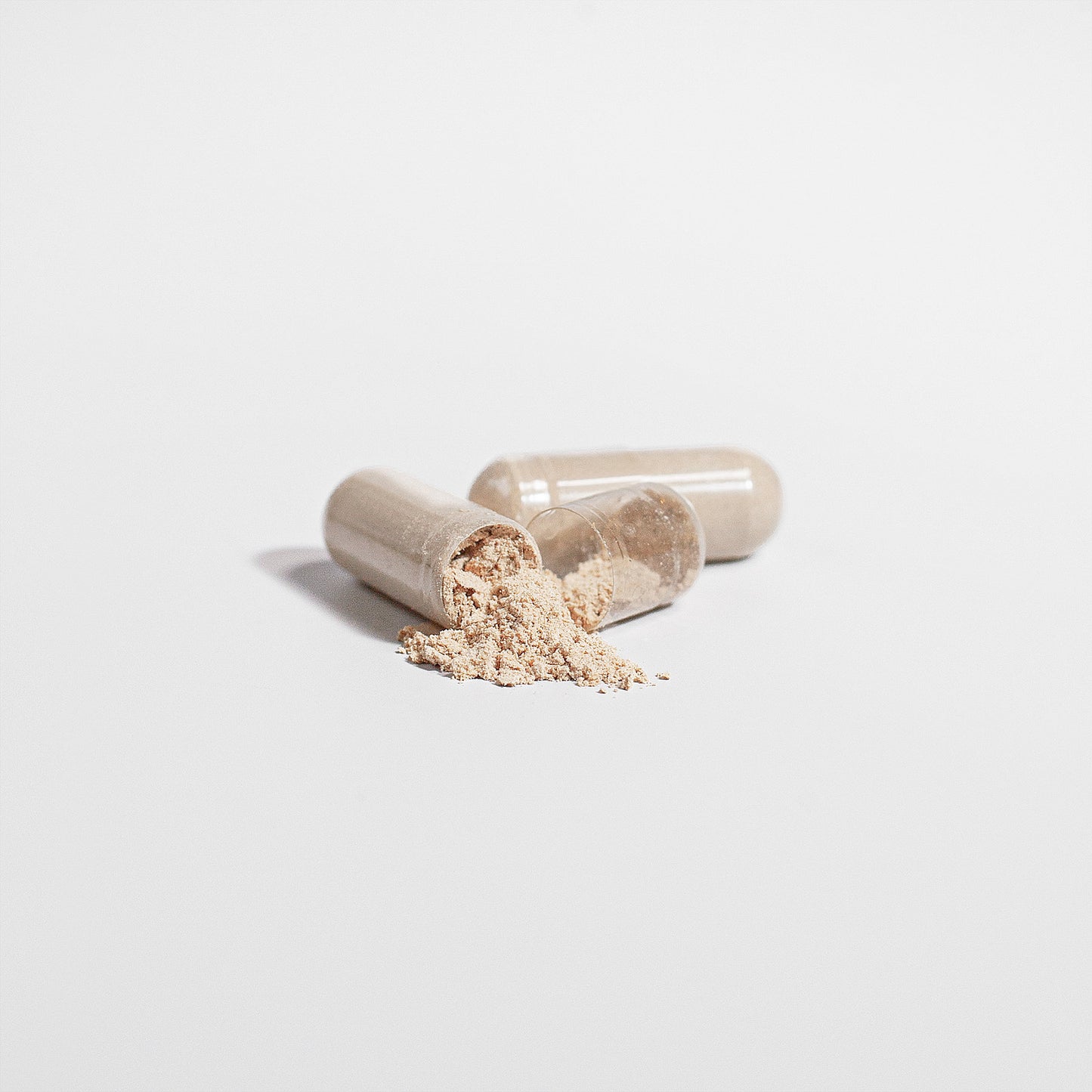 V-Factor Reishi Mushroom