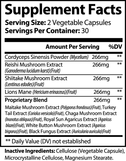 Mushroom Mind Stack